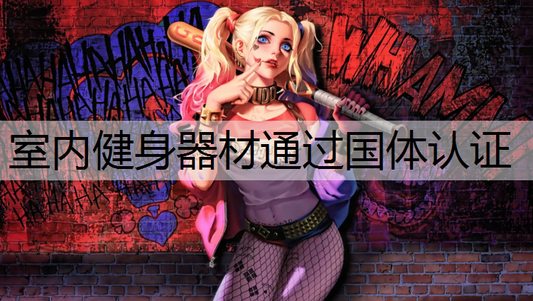 <strong>室内健身器材通过国体认证</strong>