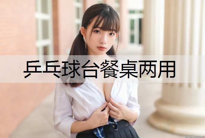 乒乓球台餐桌两用