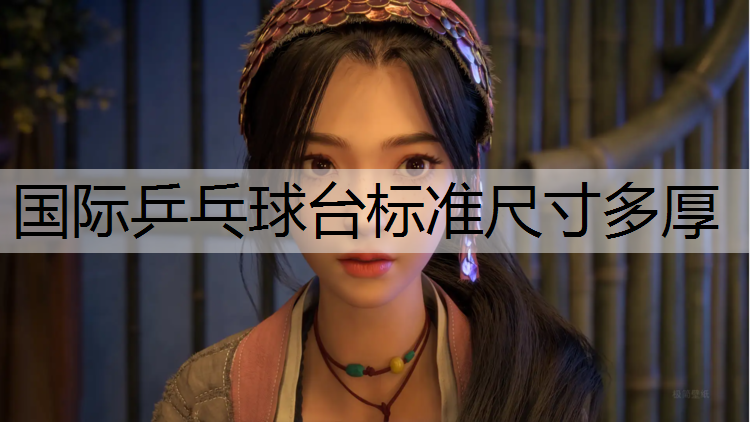 国际乒乓球台标准尺寸多厚
