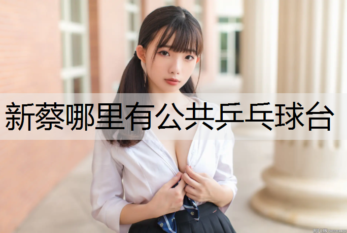 新蔡哪里有公共乒乓球台