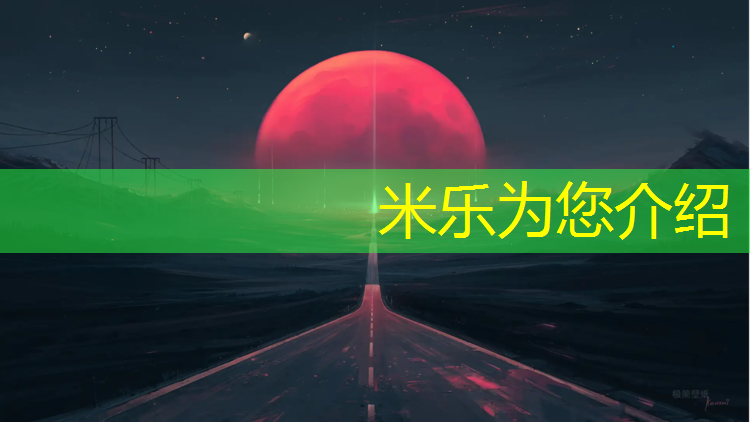 米乐为您介绍：健身器摆踏步机