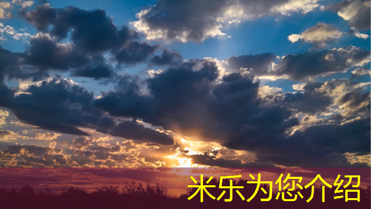 <strong>米乐为您介绍：珠海标准塑胶跑道商家</strong>