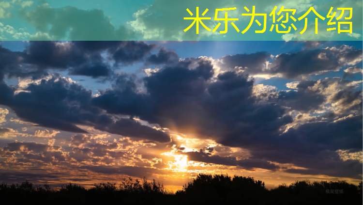 <strong>米乐为您介绍：徐汇塑胶跑道价格</strong>