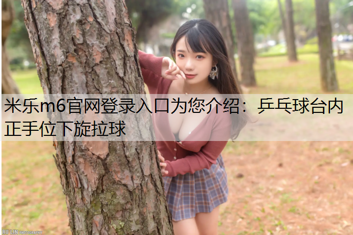 乒乓球台内正手位下旋拉球
