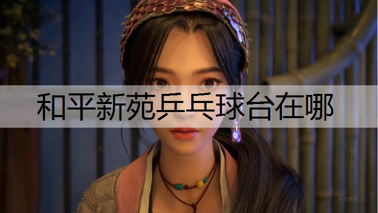 和平新苑乒乓球台在哪